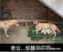 老公